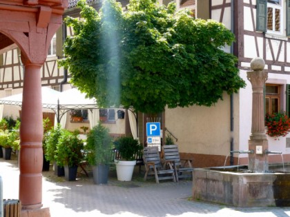 照片: Zum goldenen Lamm